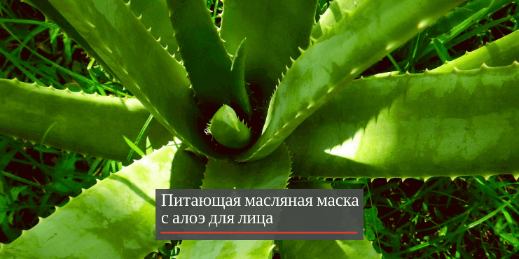 маска-алоэ-для-лица