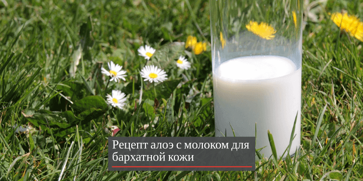 рецепт-маска-с-молоком